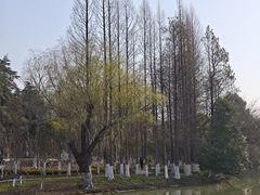 -南通濠河风景名胜区