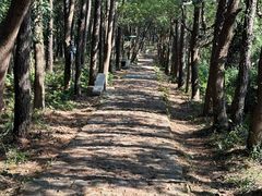 -雨花胜境