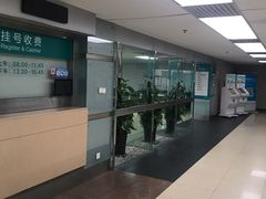 -上海市普陀区中心医院