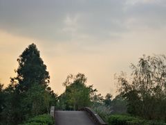 -白鹭湾湿地公园