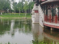 -西海子公园