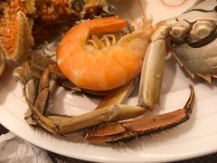 -青岛即墨希尔顿逸林酒店·開自助餐厅