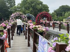 -无锡蠡湖国家湿地公园-蠡园