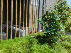 -漪龙台·B26 Rooftop Lounge