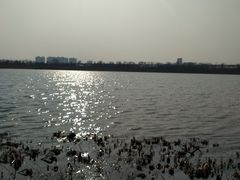 -绿堤公园