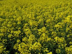 -敬亭山风景名胜区