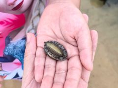 -包道广式点心专门店(振业店)