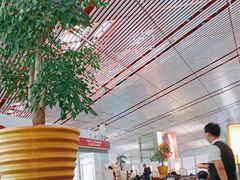 -首都机场t3-c国航两舱休息室