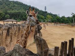 -杭州野生动物世界