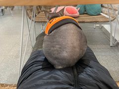 -共舞时光猫咖·狗咖(新街口店)