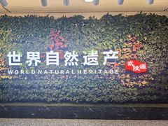 -张家界荷花国际机场