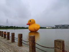 -琅岐红光湖公园