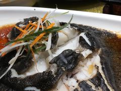 -天福苑(崇宁路店)