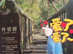 -呀诺达热带雨林