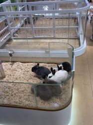 -小象动悟公园(龙湖亦庄天街店)