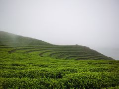 -嵛山岛