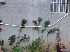 -五四广场美食城