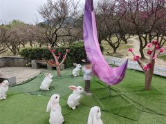 -香雪海