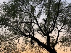 -杭州城北体育公园