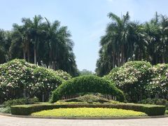 -金花茶公园