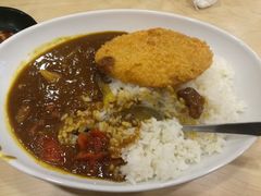 炸猪排咖喱-食其家·牛丼咖喱(天津梅江印象城店)