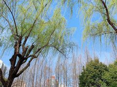 -新虹桥中心花园
