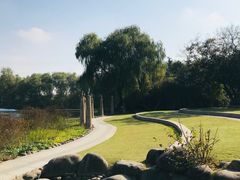 -昆山城市生态森林公园