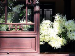 -桔子酒店(苏州观前街店)