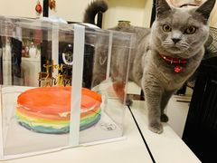 -昔木生日蛋糕(汉口店)