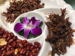 -山菌美食苑(振兴路店)