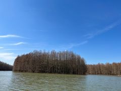 -上海海湾国家森林公园