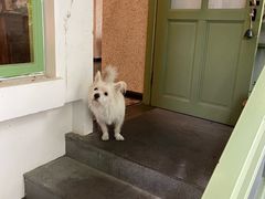 -绿房子方寸咖啡(星海名城店)