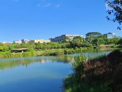 -福田红树林生态公园