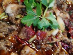 -潼南太安名鱼•特色江湖菜 太安鱼