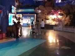 -烟台海昌鲸鲨海洋公园