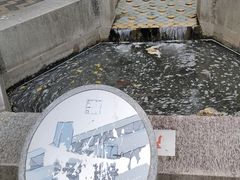 -苏州河梦清园环保主题公园