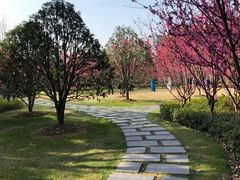 -上海市龙华烈士陵园