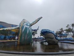 -海合安青岛极地海洋公园