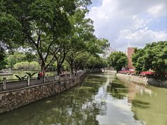 -晓港公园