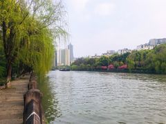 -运河游船(武林门码头)