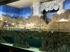 -成都浩海立方海洋公园