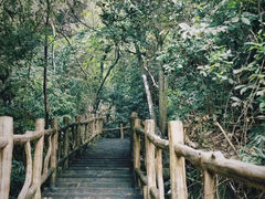 -南丹山森林王国