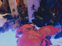 -盛宴自助餐厅(运达喜来登店)