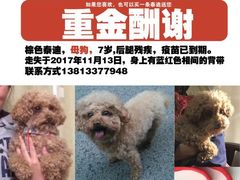 -南京悦客假日酒店