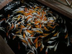 -侠成水上农庄(工业大道店)