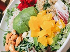 芥子酱羽翼甘蓝沙拉-小大董·烤鸭(凤凰汇店)