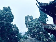 -凤栖山