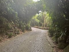 -亚龙湾热带天堂森林公园