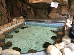 -御池园(顾村公园店)