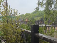 -天目湖山水园